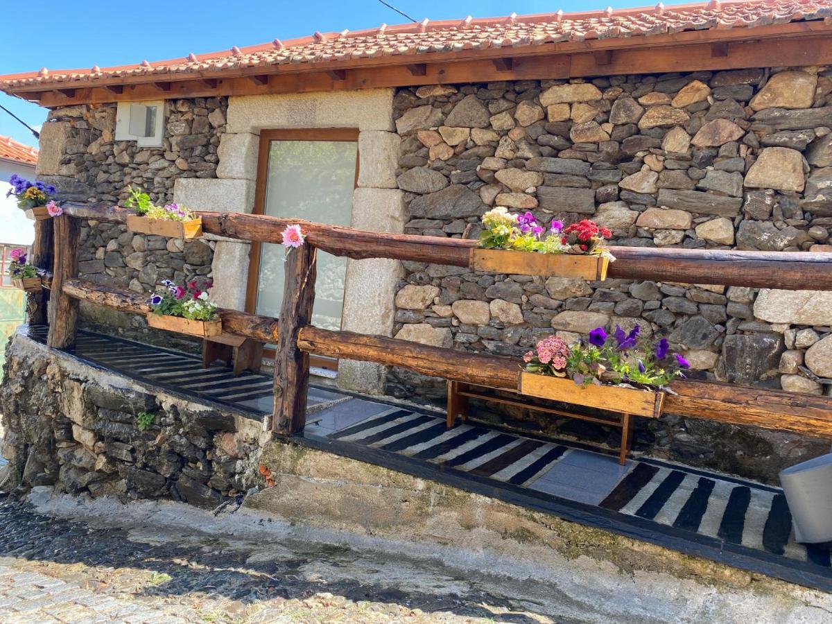 Casa Das Flores Lamego Bagian luar foto